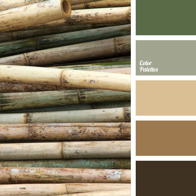 Natural Color Palettes