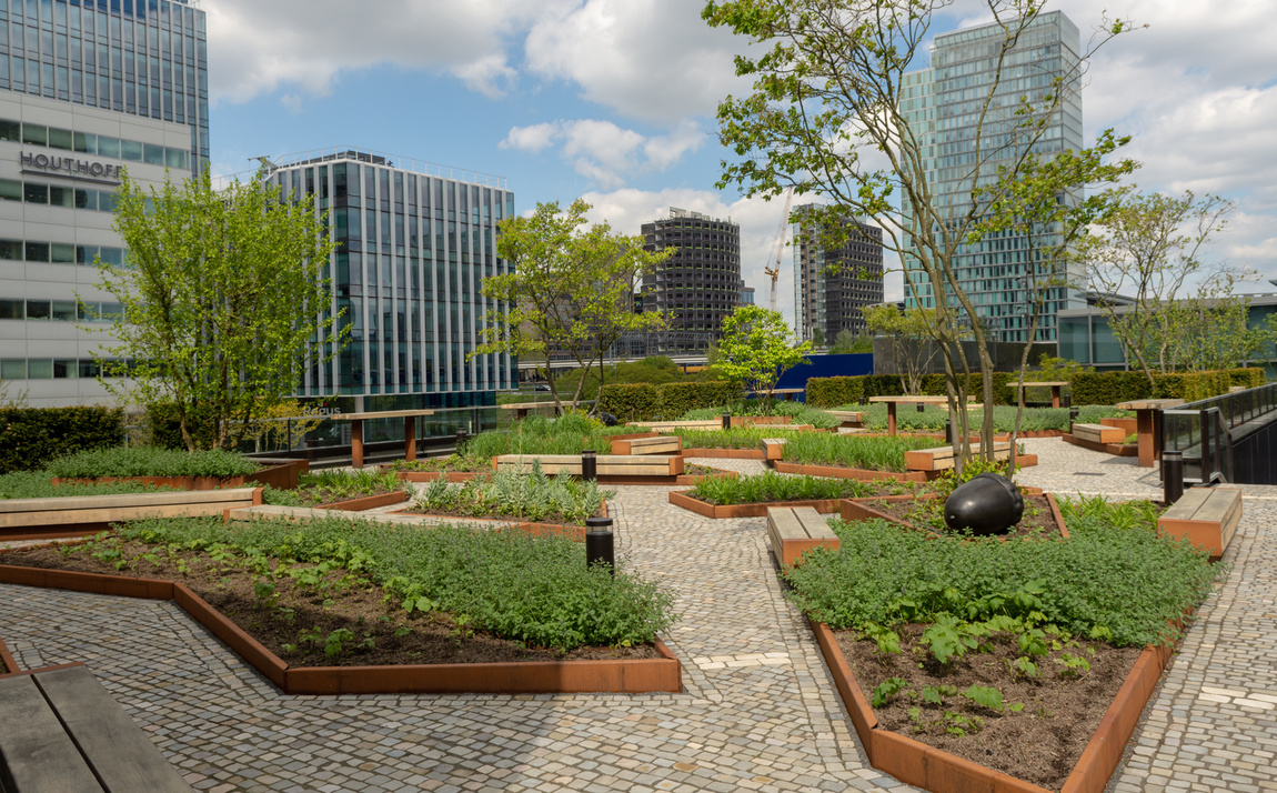 Sustainable Solutions